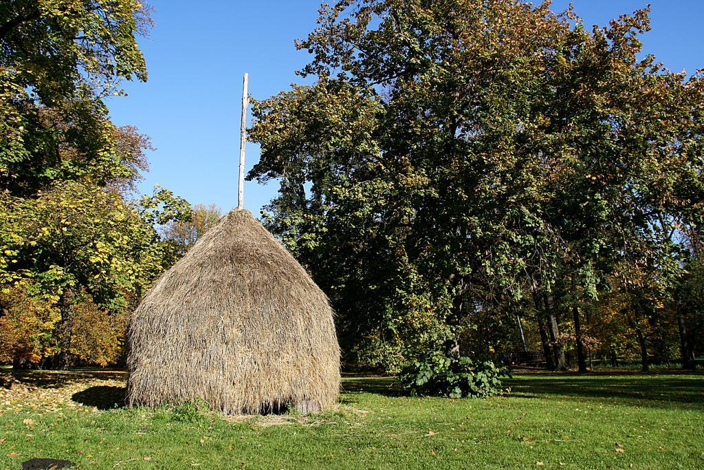 Best Western Spreewald Hotel Lübbenau Buitenkant foto